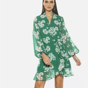 Kathlyn Blouson Ruffle Skirt Dress Floral Green Dress with White Daisies